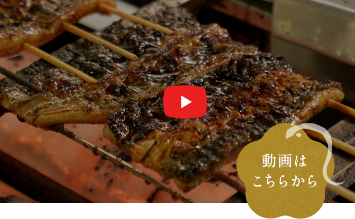 動画はこちらから